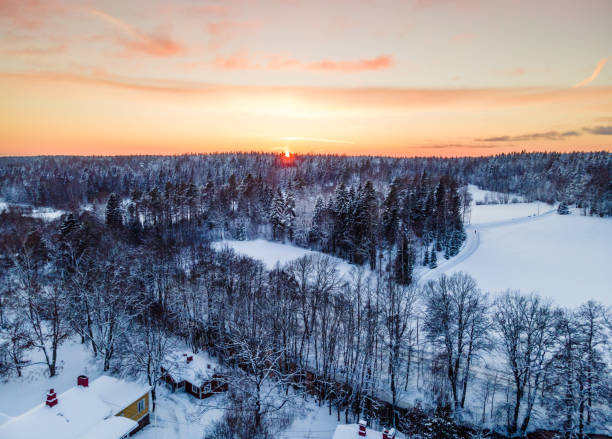 istock Aerial view to Winter Forest 1301643776