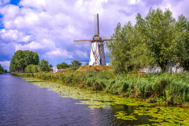 molino - belgium bruges windmill europe fotografías e imágenes de stock