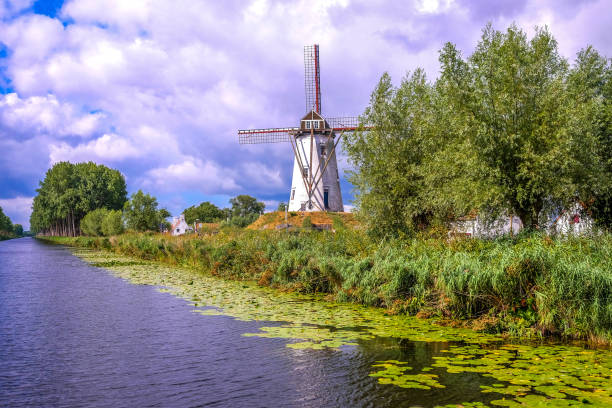 wiatrak - belgium bruges windmill europe zdjęcia i obrazy z banku zdjęć