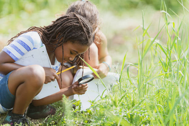 istock Children using magnifying glass to look for insects 1301652985