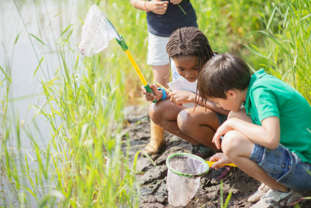 hai trovato nella tua rete? - children only adventure exploration education foto e immagini stock