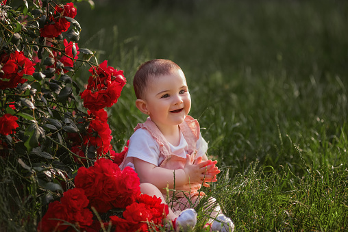 A little baby sits on a green lawn next to red roses. A happy girl in a powdery overalls enjoys a walk in the park, claps her hands, the sun is shining. Closeup portrait of a child. Carefree childhood