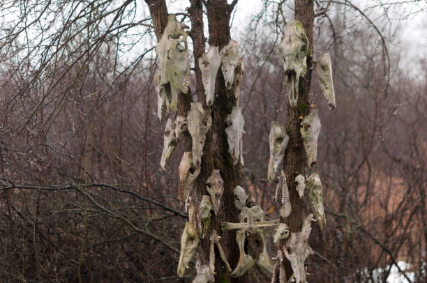 Bone totem in the middle of the forest near Warsaw