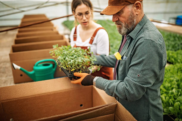 istock We are successful farmers 1301660920