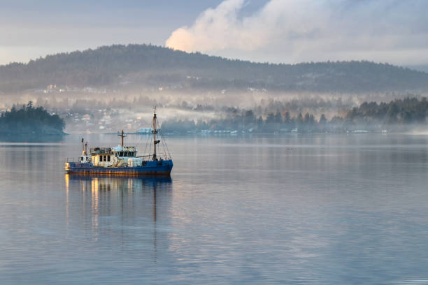 istock boat at anchor in a bay on the pacific northwest coast 1301661010