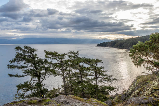 istock Creyke Point at East Sooke Regional Park 1301661031