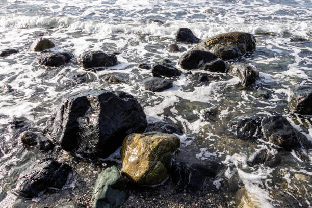 istock rocks at the edge of the pacific ocean 1301661043