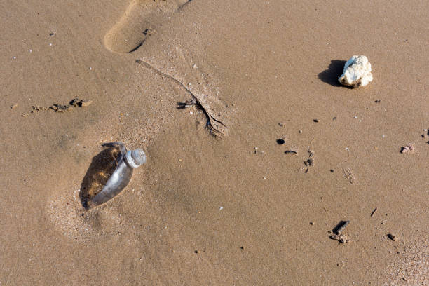 istock Discarded plastic water bottle part buried in sand 1301661090