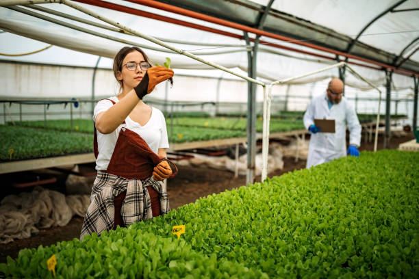 istock What do you think about plants 1301661469