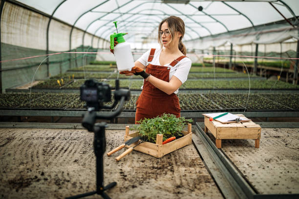 istock Young women working on farm 1301662193