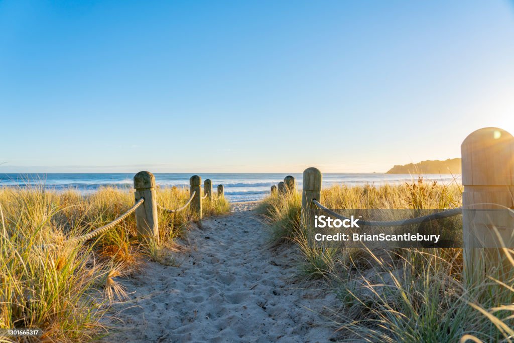 Track between bollards and dunes leading to beach Track between bollards and grassy dunes leading to beach at Mount maunganui Mainbeach New Zealand. Beach Stock Photo