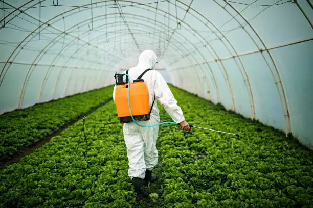 Men applying chemicals to protect agricultural field