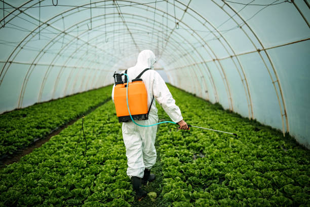 it has to be protected - spraying agriculture farm herbicide imagens e fotografias de stock