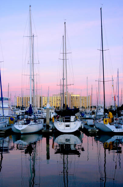 Sailboats in the marina and at their docks in San Diego, California. stock photo