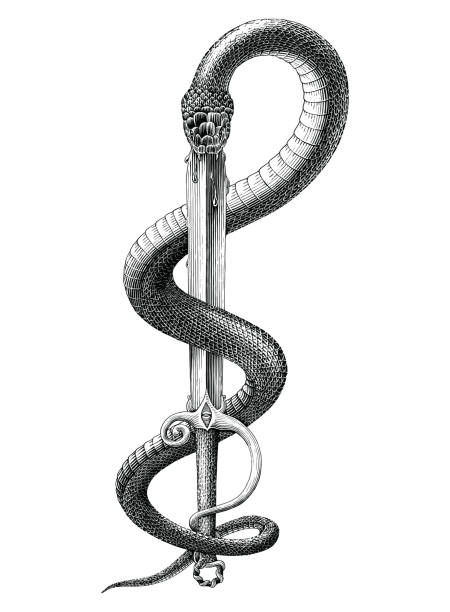 뱀 침 검 손 은 흰색 배경에 고립 된 빈티지 인그레이빙 스타일 흑백 클립 아트를 그립니다. - cobra engraving antique retro revival stock illustrations