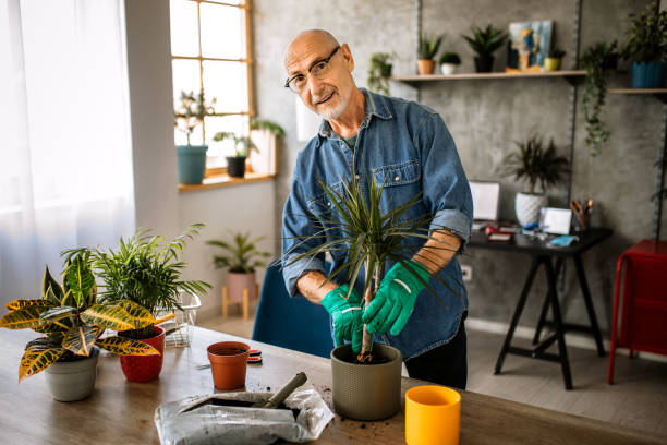 istock Taking care of my plants 1301667377