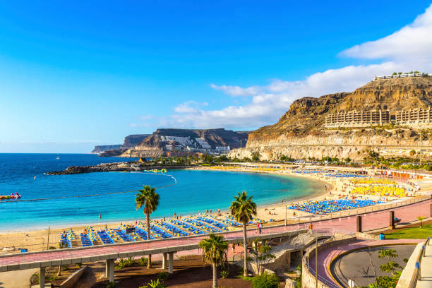 Amadores beach (Playa del Amadores), Gran Canaria island, Spain Panorama of Amadores beach (Spanish: Playa del Amadores) near famous holiday resort Puerto Rico de Gran Canaria on Gran Canaria island, Spain grand canary stock pictures, royalty-free photos & images