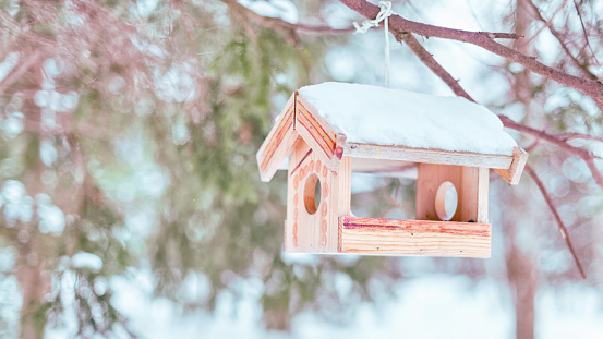 Snow covered wooden bird feeder hanging in the winter forest. High key image, selective focus on the feeder