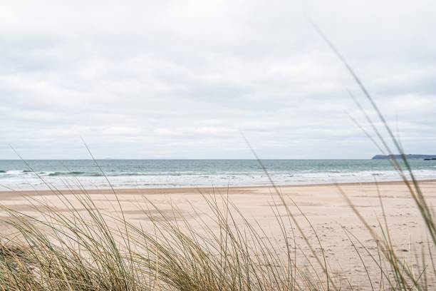 istock Sandy beach, stretching out to the incoming tide 1301668227