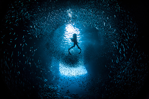 Free diver swimming through large school of bait fish in bright light
