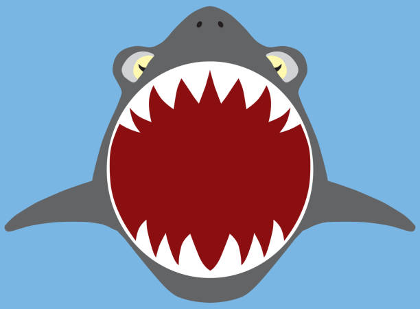 flat vector shark attack - fischaugen stock-grafiken, -clipart, -cartoons und -symbole