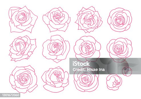 Rose String Inlay Vector Rose Vector