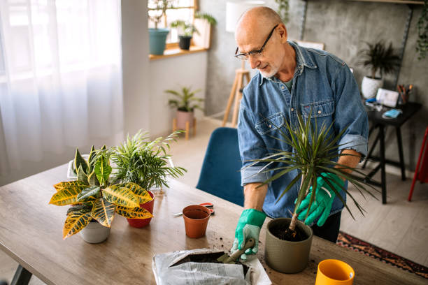 istock Taking care of my plants 1301674114