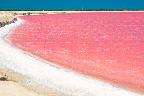 istock Las Coloradas, Yucatan, Mexico 1301676171