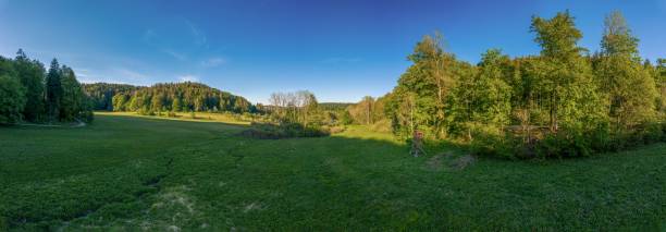 istock Idyllic view over a green meadow besides trees and a high stand under a blue summer sky. 1301687663