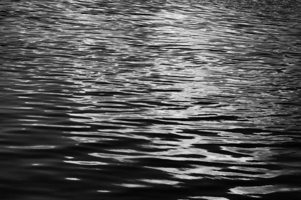 istock black and white water texture. background for the designer 1301690904