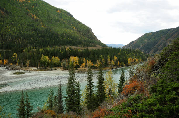 istock A beautiful turquoise river bends through the mountain range covered with coniferous forest. 1301693510