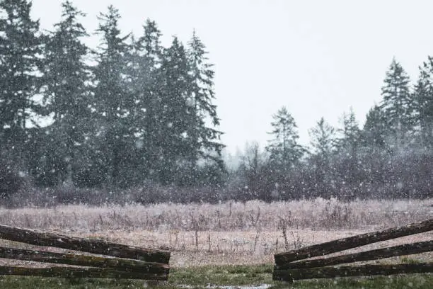 Photo of Snow Falling Lightly In A Rural Field