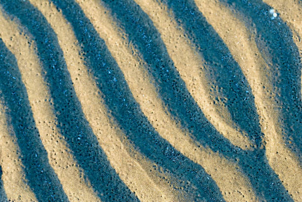 istock Close-up, Rippled Sand at Sunset 1301703626