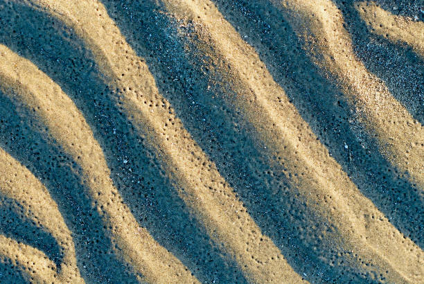 istock Close-up, Rippled Sand at Sunset 1301703671