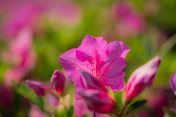 selective focus on blurred background with copy space