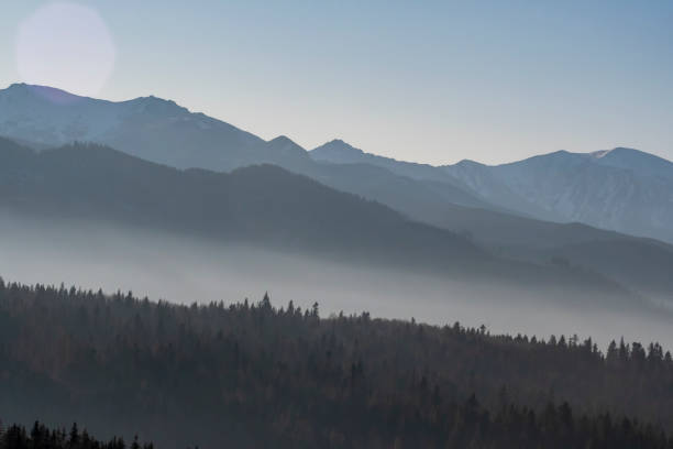Multi layered mountainscape view. Tatra Mountains on a sunny December day. The fog is in the valleys between the ridges. Selective focus on the forest, blurred background.