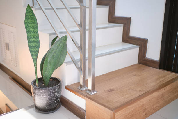 istock Air purifying plants SAMSE-VIERIA leaf in a modern cement black at the corner of stair or ladder for home interior, Houseplants With Health Benefits concept 1301707023