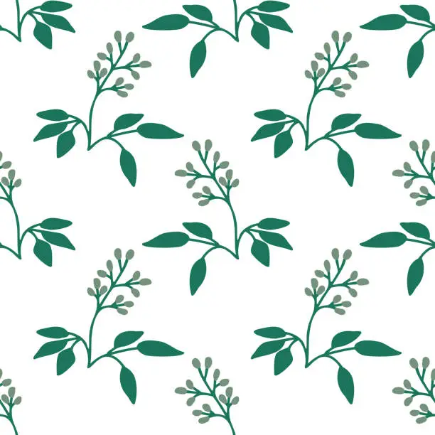 Vector illustration of Balsam torchwood pattern