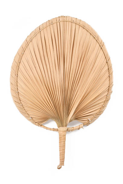 istock Dried natural palm tree leaf shaped into a fan 1301709432