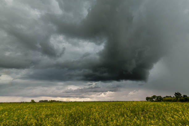 istock Beautiful rural countryside in Europe 1301709457