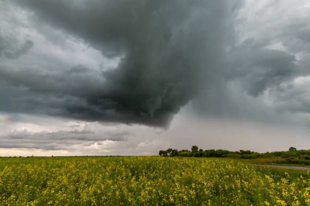 istock Beautiful rural countryside in Europe 1301709595
