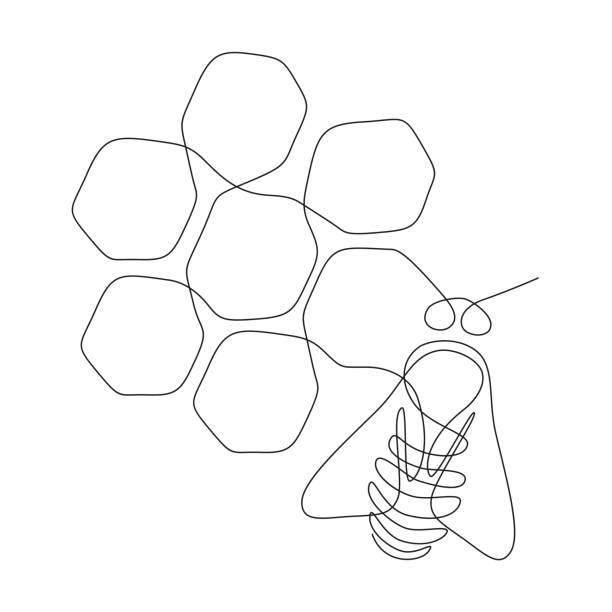 One single line drawing of bee with honeycomb. Honeybee farm icon concept from wasp animal shape. Trendy continuous line art for logo or emblem. Vector illustration One single line drawing of bee with honeycomb. Honeybee farm icon concept from wasp animal shape. Trendy continuous line art for logo or emblem. Vector illustration. hornet swarm stock illustrations