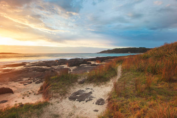 istock Coastal path along beach with dramatic morning sunrise 1301712831