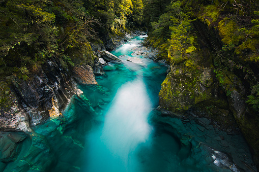 Aqua marine turquoise blue river flowing past bright green trees