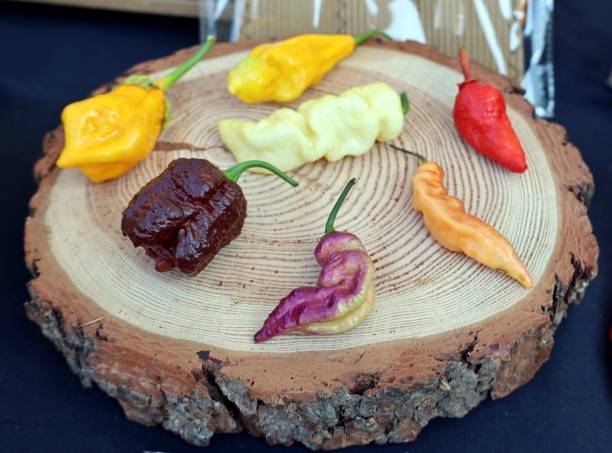 istock Peppers of different types and colors on a  tree trunk cross section 1301715074