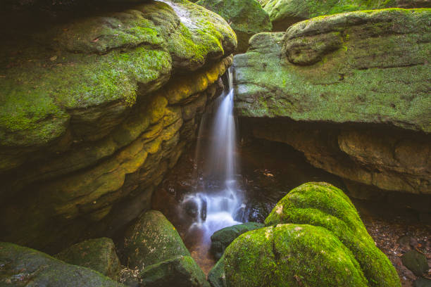 água cai entre grandes rochas cobertas de musgo em ambiente denso da floresta tropical - tropical rainforest waterfall rainforest australia - fotografias e filmes do acervo