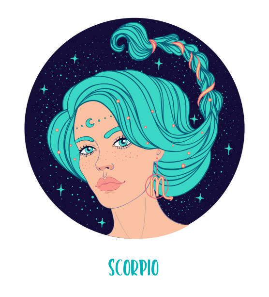 Illustration of Scorpio astrological sign as a beautiful girl. Illustration of Scorpio astrological sign as a beautiful girl. Zodiac vector illustration isolated on white. Future telling, horoscope, alchemy, spirituality, occultism, fashion woman. female scorpio tattoos stock illustrations
