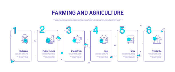 Timeline Farm Design 280+ Circular Crop Irrigation Stock Illustrations, Royalty-Free Vector ...