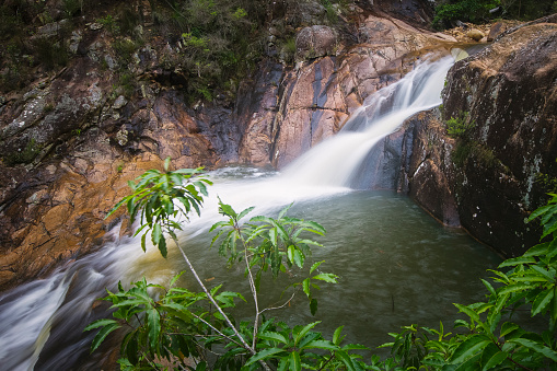 Flowing waterfall with moss and green rainforest environment, Australia