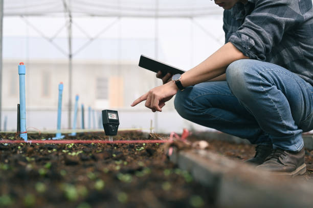 Smart young asian agronomist man measure soil with digital device and tablet. Technology in the agriculture. Smart young asian agronomist man measure soil with digital device and tablet. Technology in the agriculture. sensor stock pictures, royalty-free photos & images